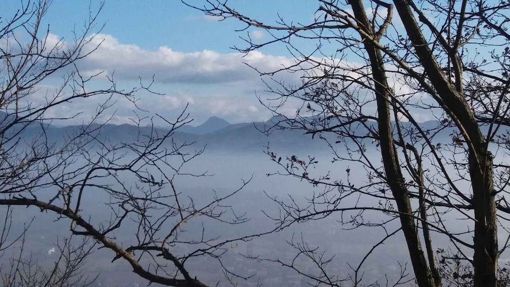 Picture 2 for Activity From Gavi: Piedmont Truffle Hunting Experience with Tasting