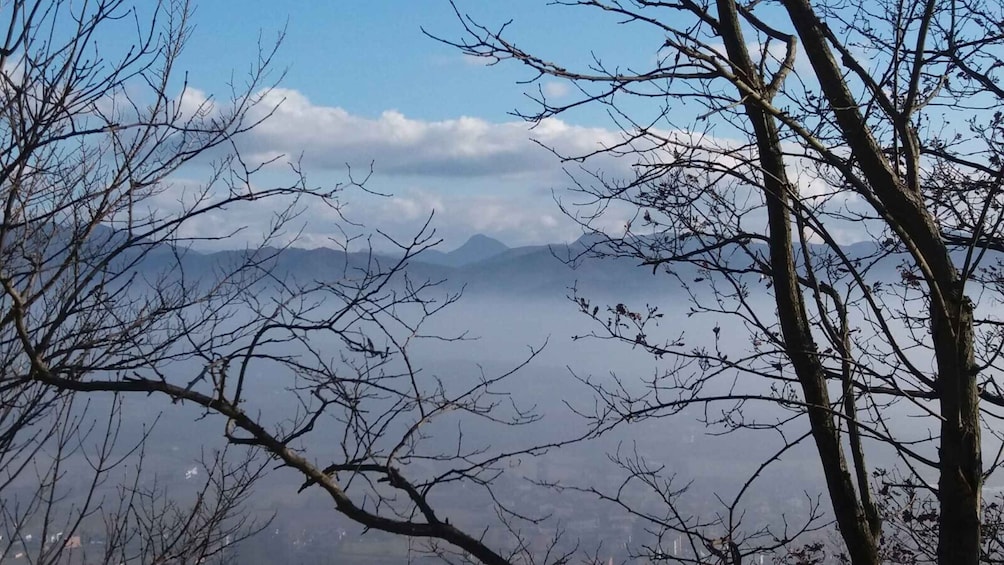 Picture 2 for Activity From Gavi: Piedmont Truffle Hunting Experience with Tasting