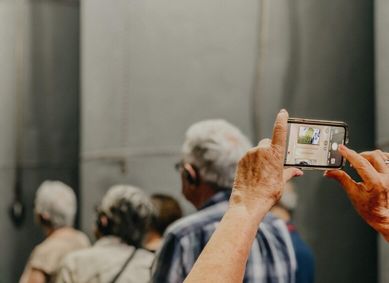 Picture 5 for Activity Jaén: Guided Olive Mill Tour with Olive Oil Tasting