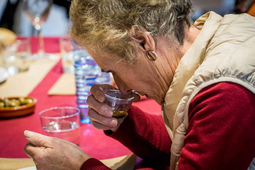 Picture 2 for Activity Jaén: Guided Olive Mill Tour with Olive Oil Tasting