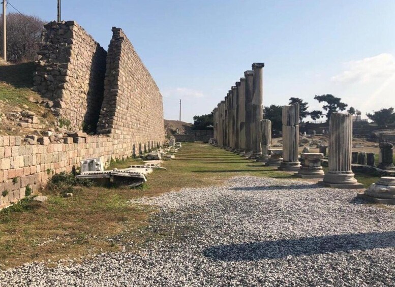 Picture 2 for Activity From Izmir: Private Guided Day Trip to Ancient Pergamon