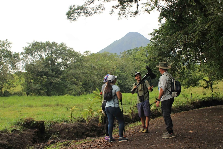 Picture 10 for Activity Arenal Forest: Bird Observation & Photography Tour