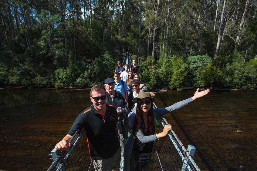 Picture 10 for Activity Hobart: Full-Day Tahune Airwalk & Hastings Caves Active Tour
