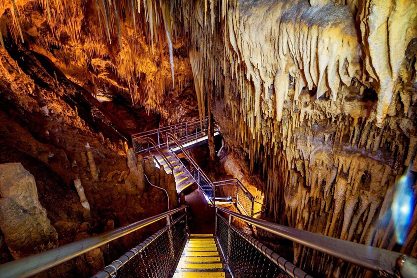 Picture 6 for Activity Hobart: Full-Day Tahune Airwalk & Hastings Caves Active Tour