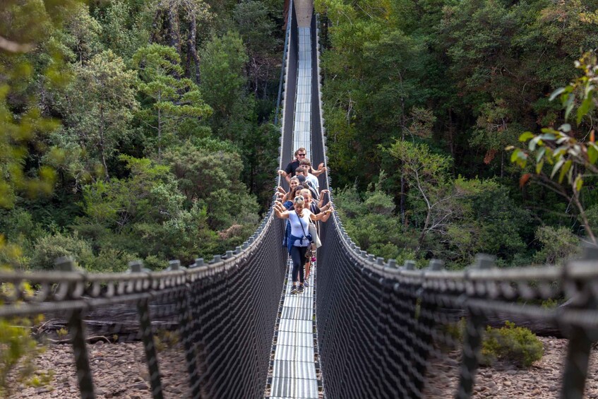 Picture 2 for Activity Hobart: Full-Day Tahune Airwalk & Hastings Caves Active Tour