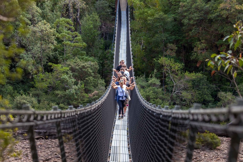 Picture 2 for Activity Hobart: Full-Day Tahune Airwalk & Hastings Caves Active Tour