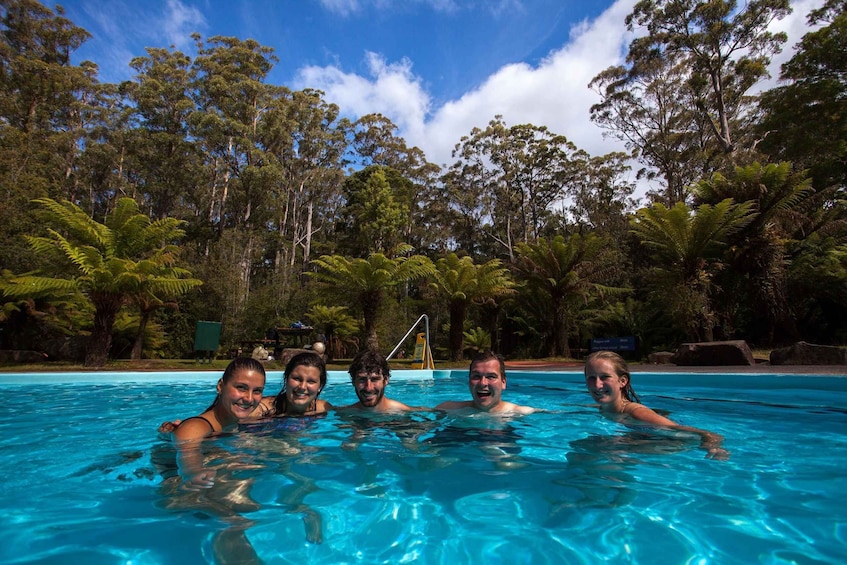 Picture 9 for Activity Hobart: Full-Day Tahune Airwalk & Hastings Caves Active Tour