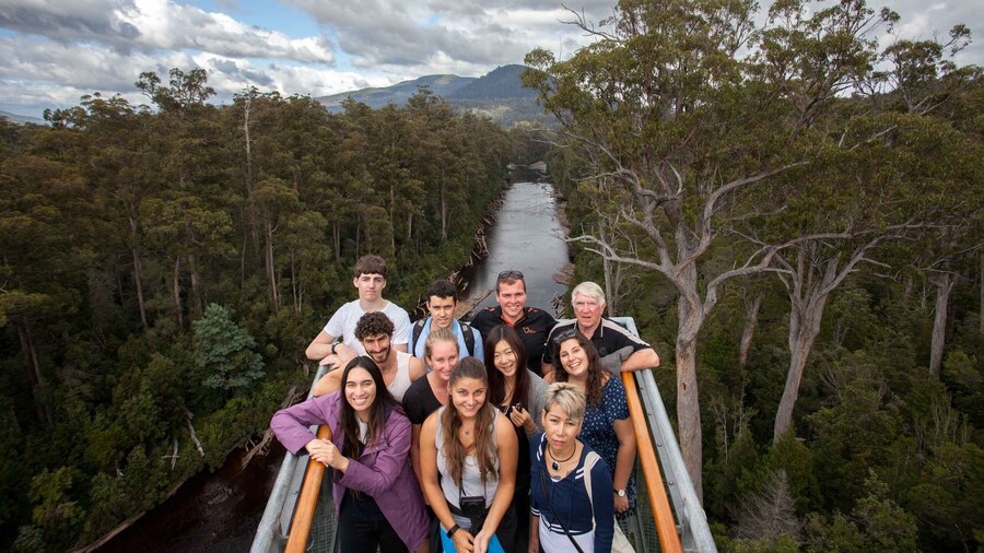 Hobart: Full-Day Tahune Airwalk & Hastings Caves Active Tour