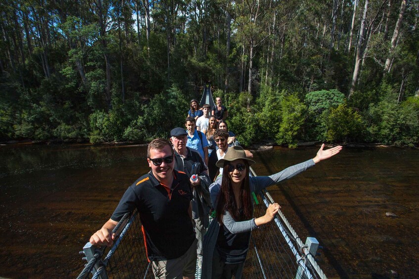 Picture 4 for Activity Hobart: Full-Day Tahune Airwalk & Hastings Caves Active Tour