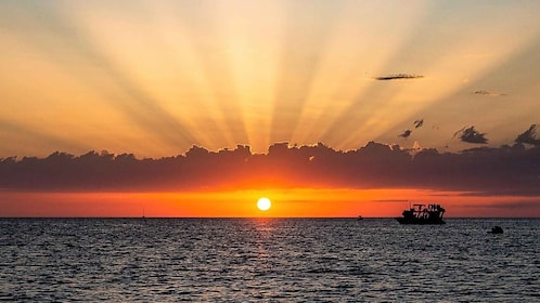 Ibiza : Plongée en apnée, plage au coucher du soleil et excursion en bateau...