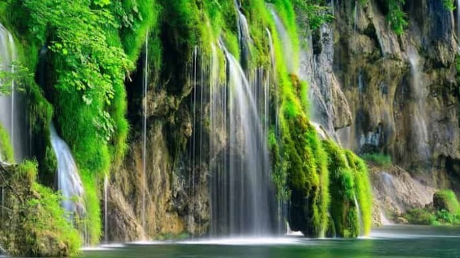 From Zadar: Plitvice Lakes National Park Tour