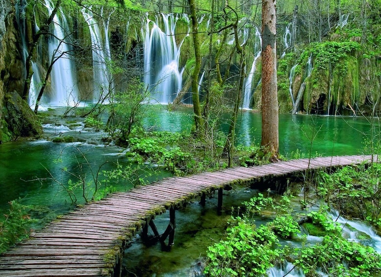 Picture 7 for Activity From Zadar: Plitvice Lakes National Park Tour