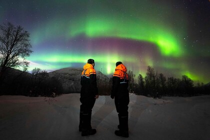 Tromsø: Mengejar Cahaya Utara dengan Cerita & Foto Lokal