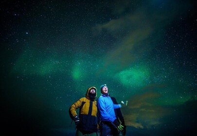 Von Tromsø: Geführte Busverfolgungsjagd zu den Nordlichtern