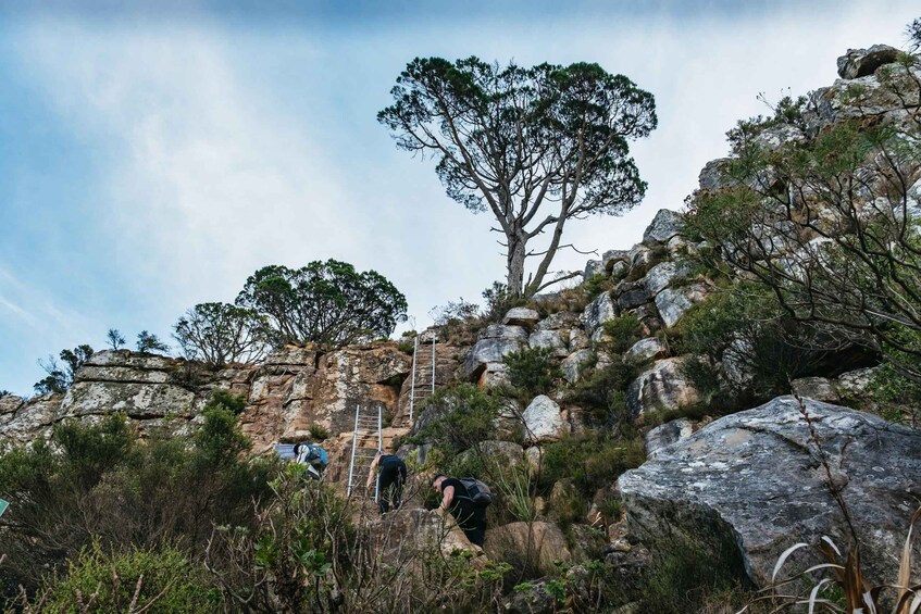 Picture 6 for Activity Cape Town: Lion's Head Sunrise or Sunset Hike