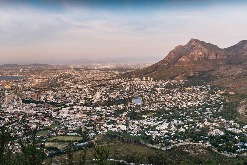 Picture 13 for Activity Cape Town: Lion's Head Sunrise or Sunset Hike