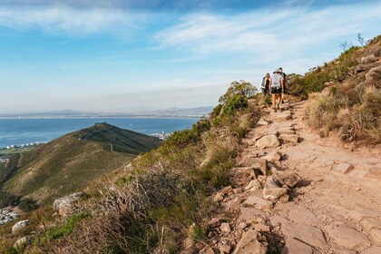 Kaapstad: Lion's Head Zonsopgang of Zonsondergang wandeling