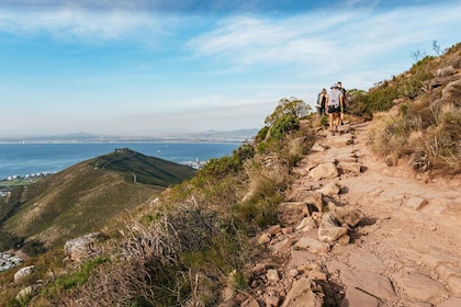 Le Cap : Randonnée au lever ou au coucher du soleil à Lion's Head