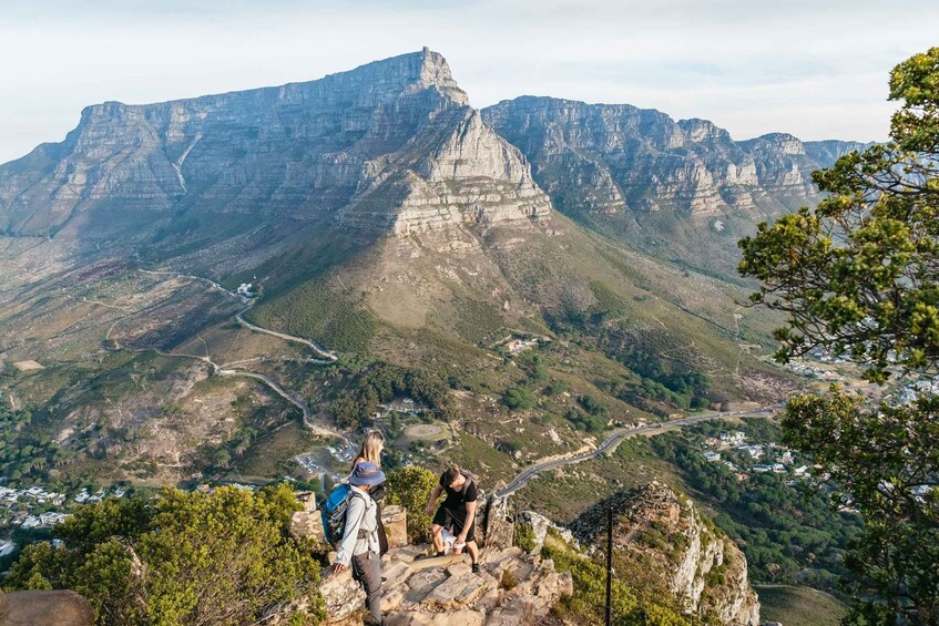 Picture 2 for Activity Cape Town: Lion's Head Sunrise or Sunset Hike