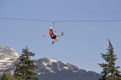 Expérience de zipline à Whistler : Ziptrek Eagle Tour