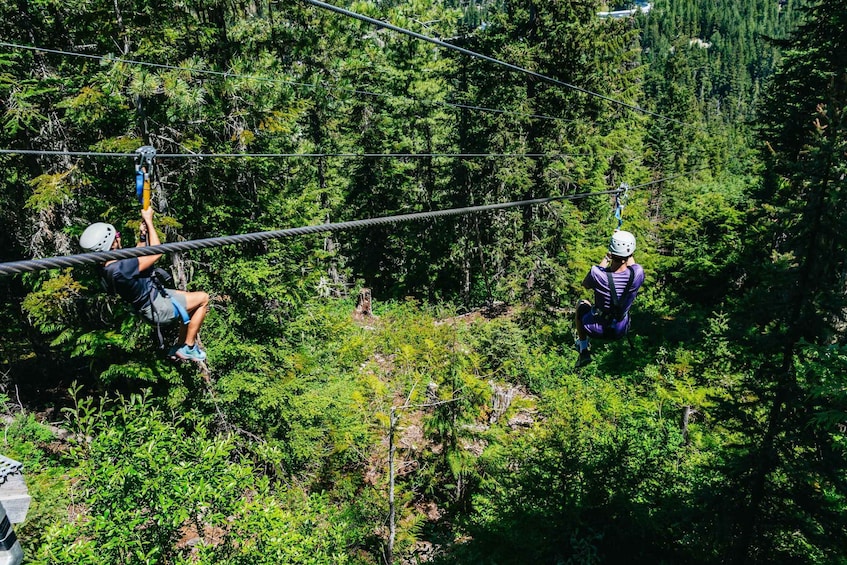 Picture 8 for Activity Whistler: Ziplining Experience