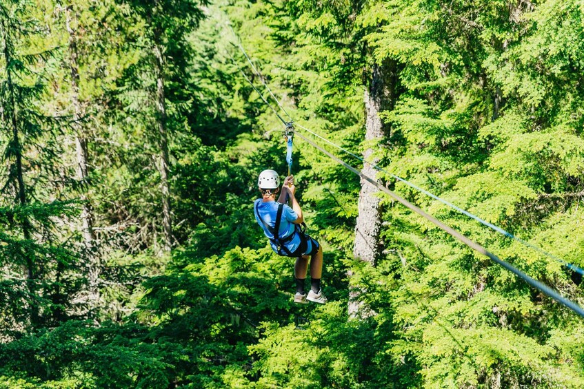 Picture 12 for Activity Whistler Zipline Experience: Ziptrek Eagle Tour