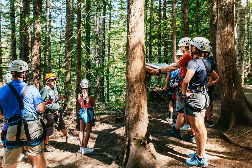 Picture 13 for Activity Whistler: Ziplining Experience