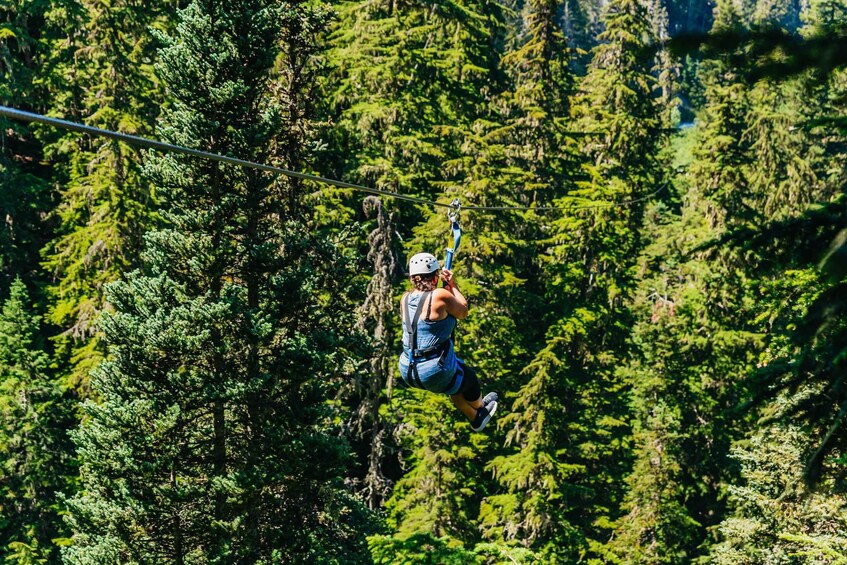 Whistler: Ziplining Experience