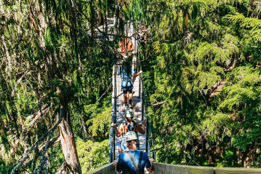 Picture 6 for Activity Whistler: Ziplining Experience