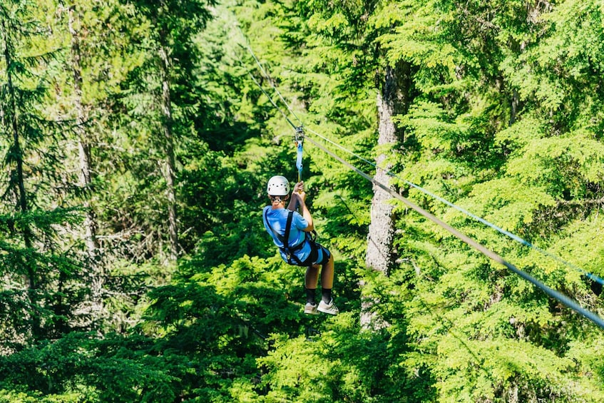 Picture 12 for Activity Whistler: Ziplining Experience
