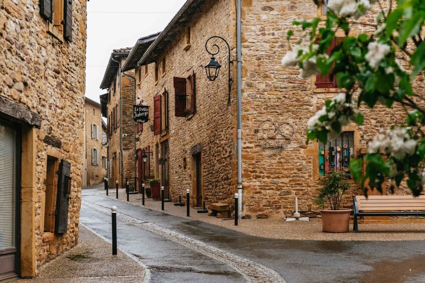 Picture 1 for Activity From Lyon: Beaujolais Wine Tasting Day Tour