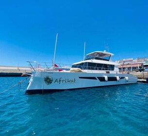 Gran Canaria: Luxe Catamaran Cruise met eten en drinken
