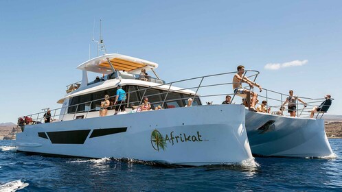 Gran Canaria : croisière amusante en catamaran avec nourriture et boissons