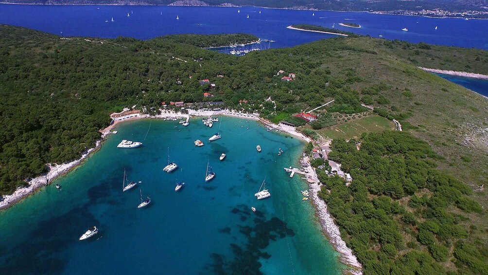 Picture 5 for Activity From Omis: Blue Cave & 5 Island Speedboat Tour