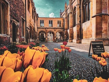 Live Like a Student with Private Cambridge Self Guided Tours