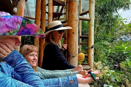 Looking for nature around Quito? Mindo cloudforest Private Tour