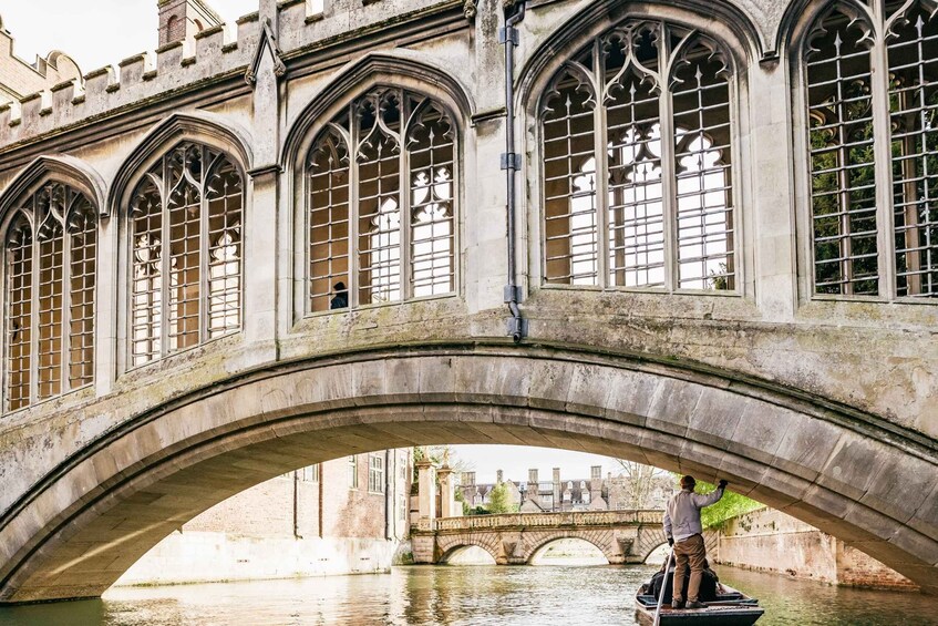 Picture 8 for Activity Cambridge: Guided River Cam Punting Tour