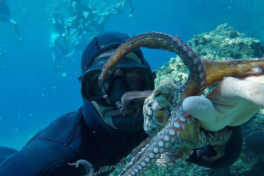 Adamas: Kleftiko Half-Day Speedboat Cruise with Snorkeling