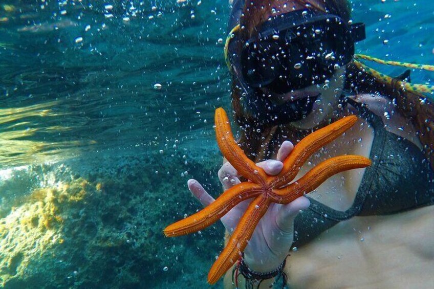 Adamas: Kleftiko Half-Day Speedboat Cruise with Snorkeling