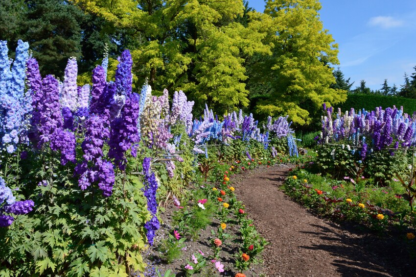 VanDusen Botanical Garden Admission Tickets