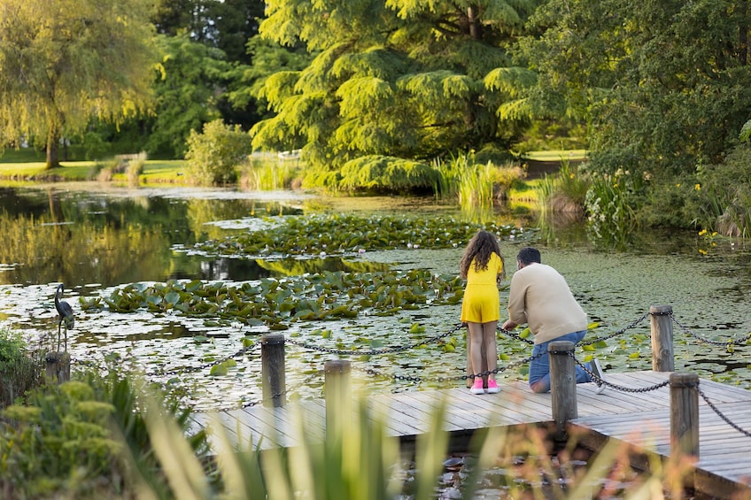 VanDusen Botanical Garden Admission Tickets