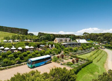 Isla Waiheke: billetes de autobús Explorer en ferry y con paradas libres