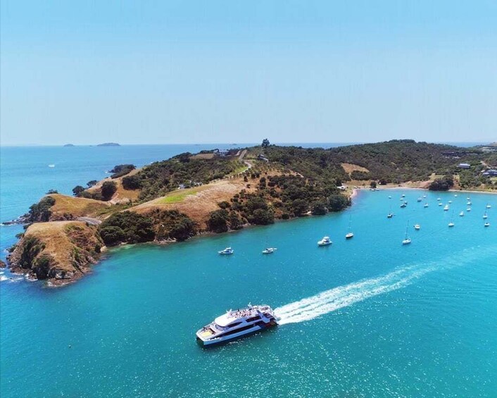 Picture 7 for Activity Waiheke Island: Ferry & Hop-On Hop-Off Explorer Bus Tickets