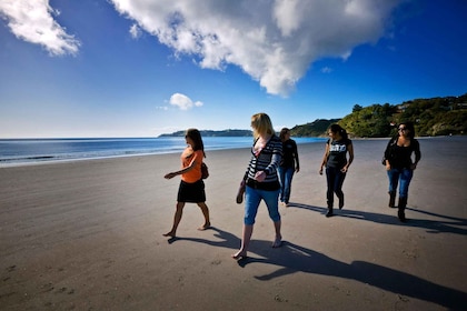 Isla Waiheke: billetes de autobús Explorer en ferry y con paradas libres