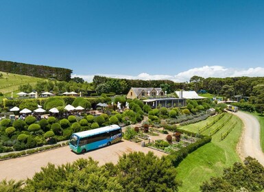 L'île de Waiheke : Billets de ferry et de bus d'exploration Hop-On Hop-Off