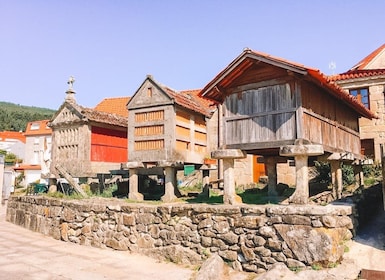 Rías Baixas: Unvergessliche Tour ab Santiago de Compostela