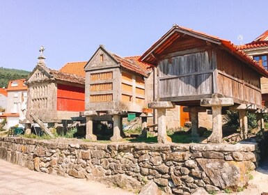 Excursión por las Rías Baixas desde Santiago de Compostela