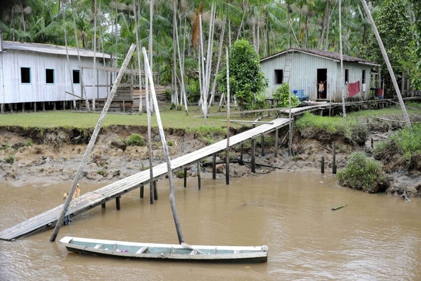 Picture 2 for Activity Belém: Half-Day Furos Boat Tour & Riverside Community Visit