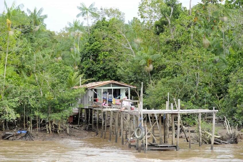 Picture 3 for Activity Belém: Half-Day Furos Boat Tour & Riverside Community Visit