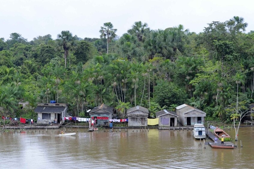 Picture 4 for Activity Belém: Half-Day Furos Boat Tour & Riverside Community Visit